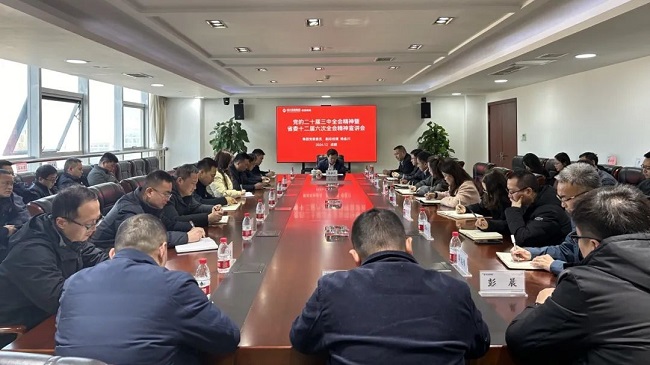 集團(tuán)黨委委員、副總經(jīng)理?xiàng)罱鸫ǖ焦拘v黨的二十屆三中全會(huì)和省委十二屆六次全會(huì)精神